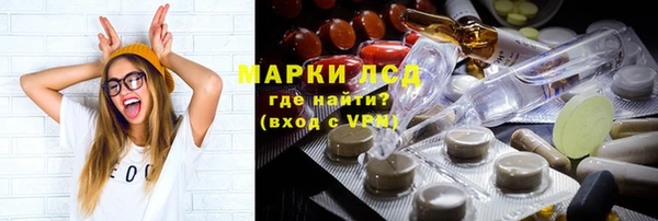 гашик Алексин