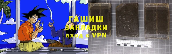 гашик Алексин