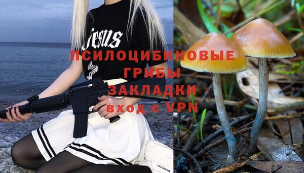гашик Алексин