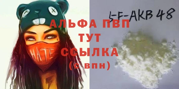 гашик Алексин