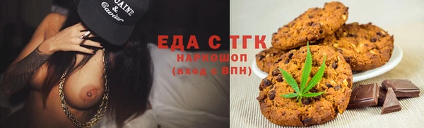 гашик Алексин
