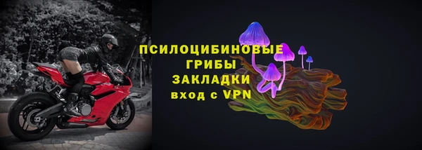 гашик Алексин
