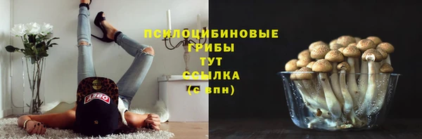марки nbome Алзамай