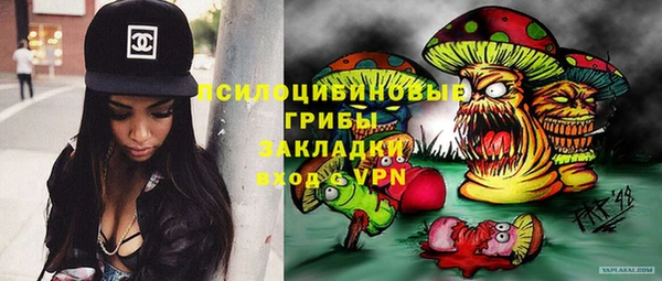 гашик Алексин