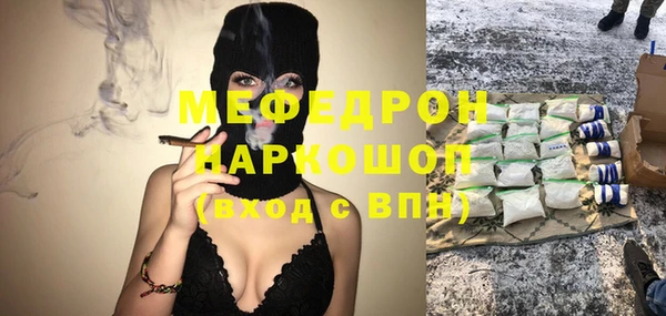гашик Алексин