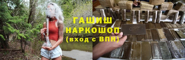 гашик Алексин
